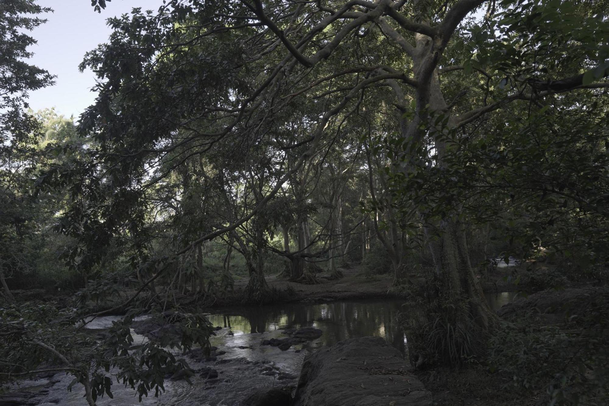 River Glamping By Gaga Bees Udawalawe Luaran gambar