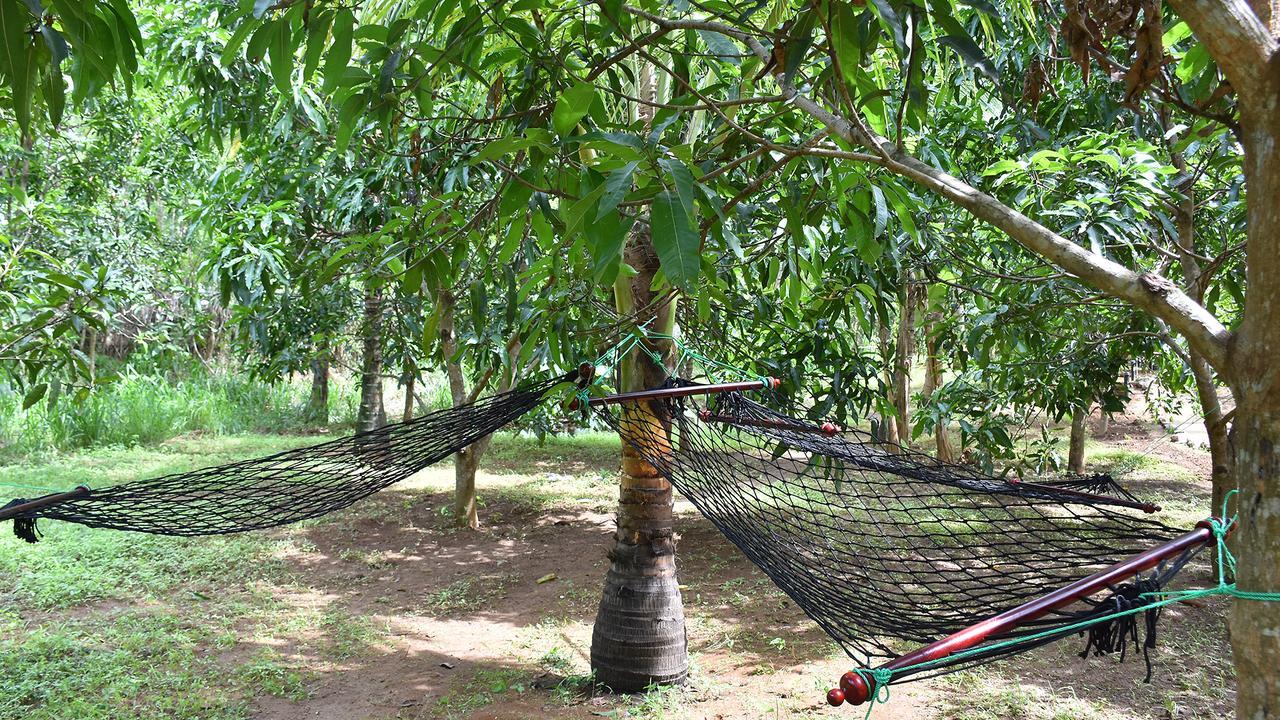River Glamping By Gaga Bees Udawalawe Luaran gambar