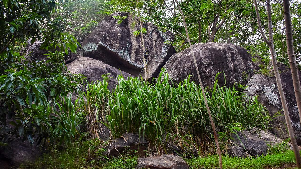 River Glamping By Gaga Bees Udawalawe Luaran gambar