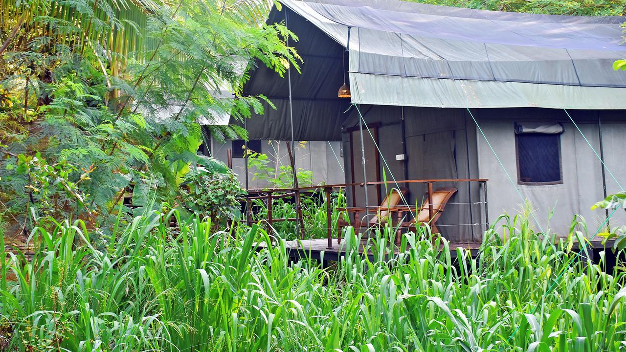 River Glamping By Gaga Bees Udawalawe Luaran gambar