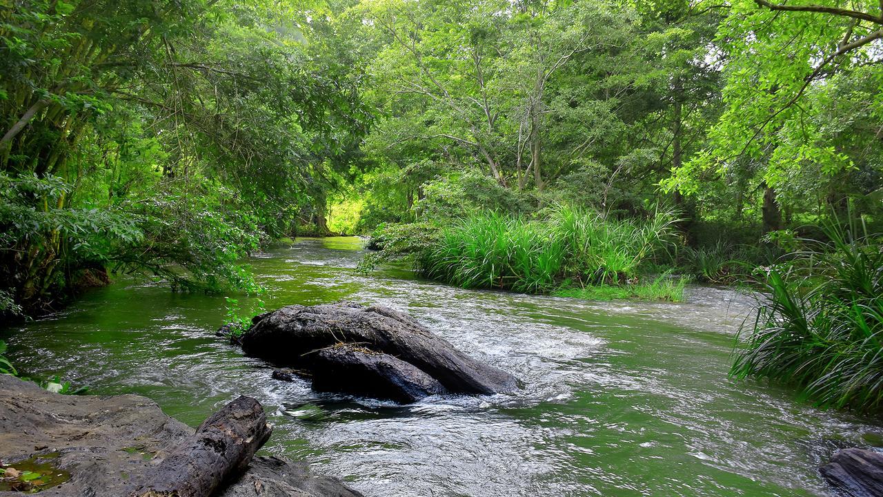 River Glamping By Gaga Bees Udawalawe Luaran gambar